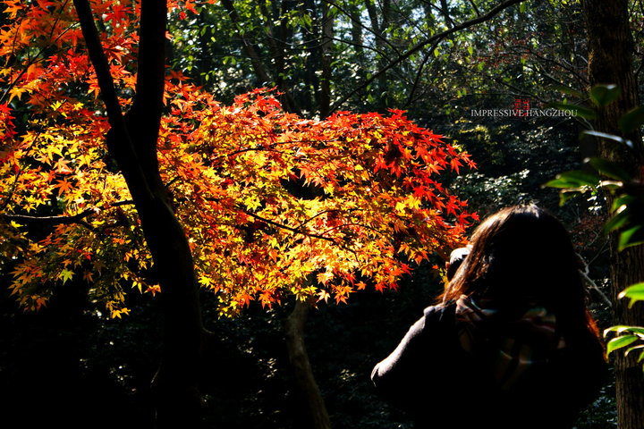 IMPRESSIVE HANGZHOU 