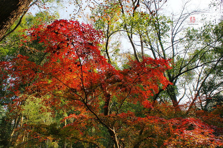 IMPRESSIVE HANGZHOU 