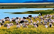 2011ǧв34--ٰͷ
