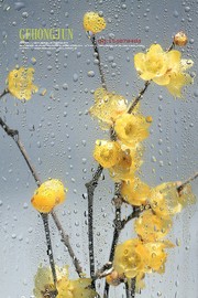 花开花香（36）- 暗香浮动