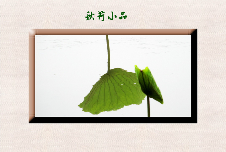 СƷ