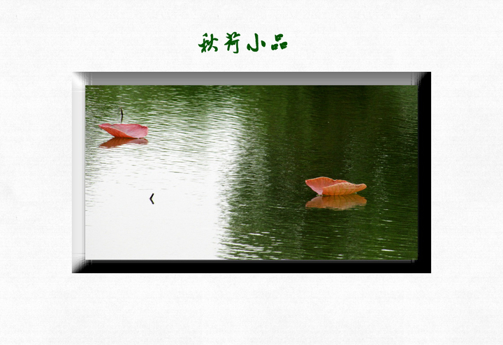 СƷ