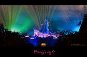 Disneys night