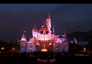 Disneys night