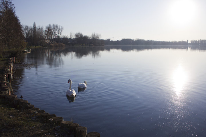 Happy New Year, Mantova