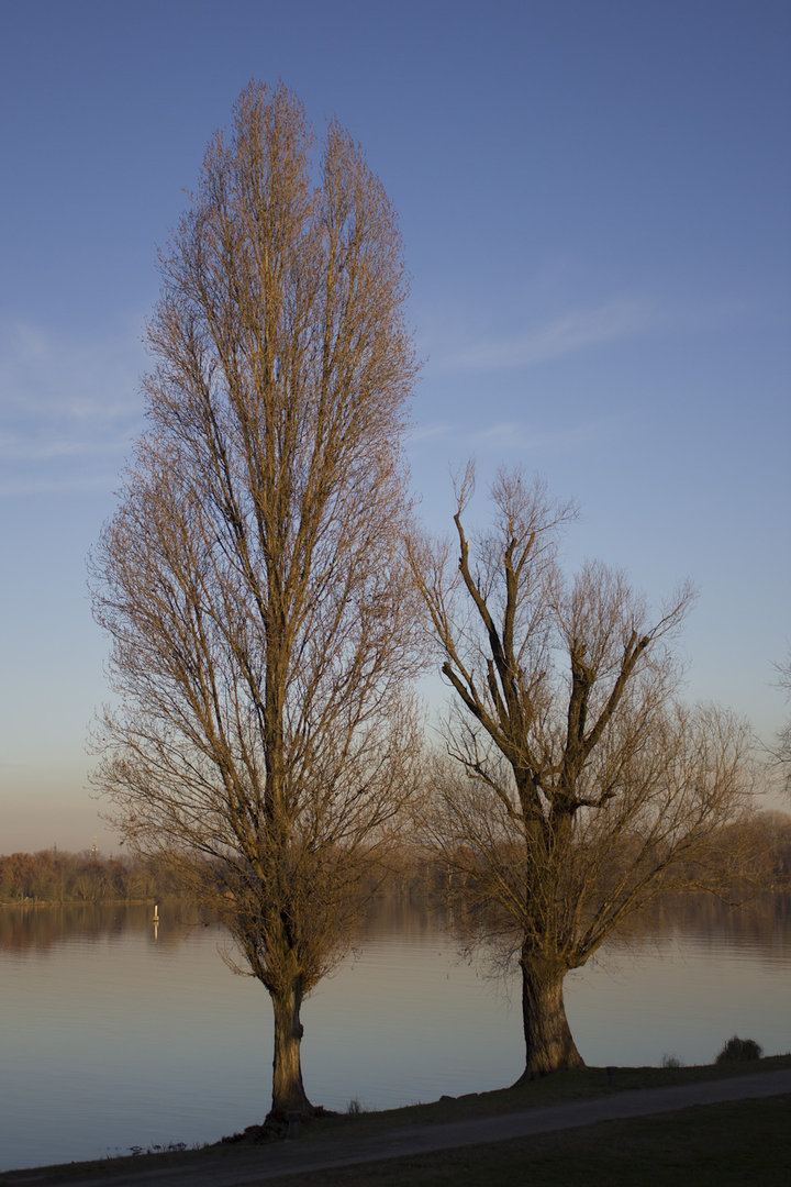 Happy New Year, Mantova