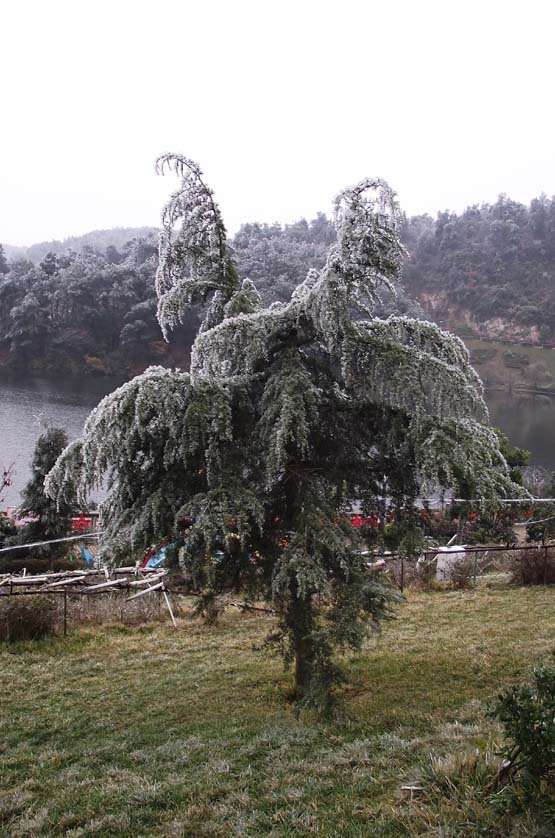 2012´ƻ᡾ġ