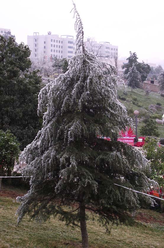 2012´ƻ᡾ġ