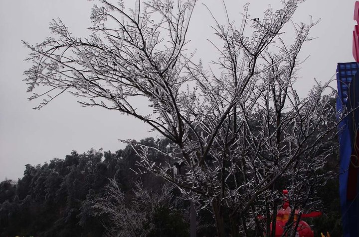 2012´ƻ᡾塿