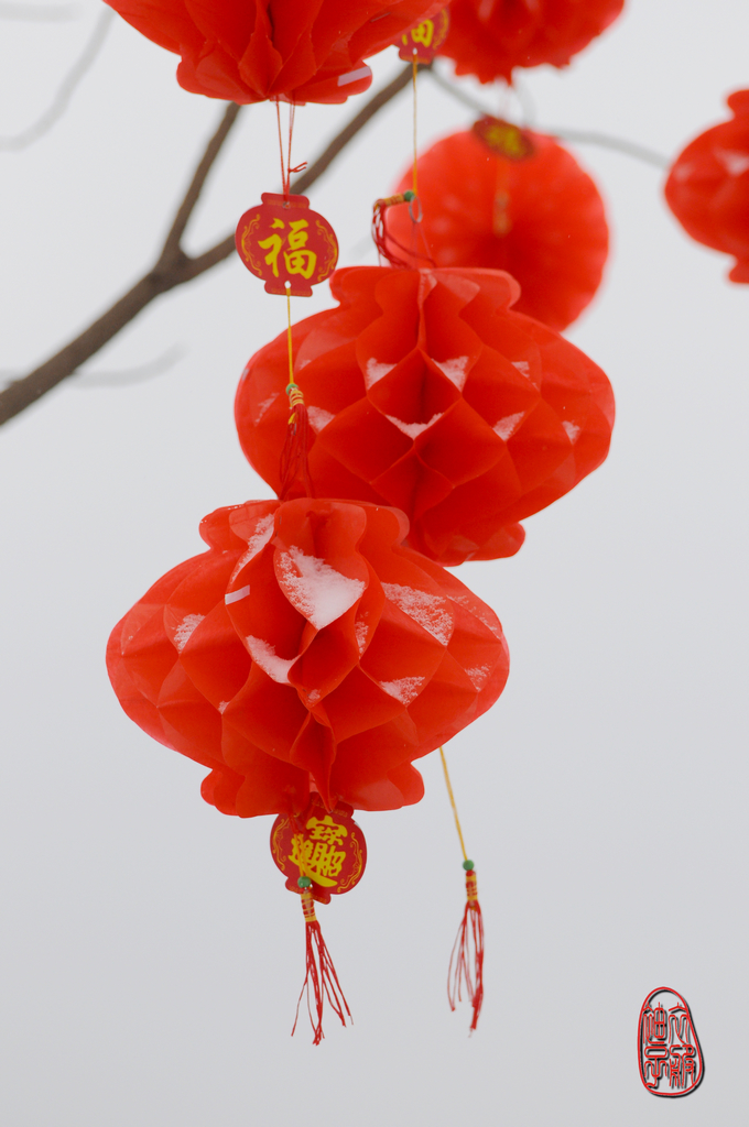 红灯笼·红年景