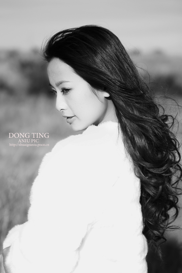 DONGTING 2