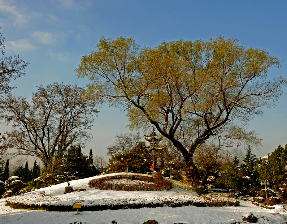 雪後景色