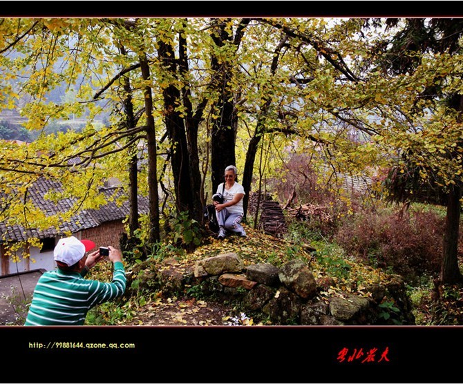 ƺ2011