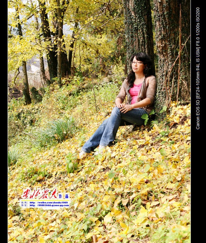 ƺ2011