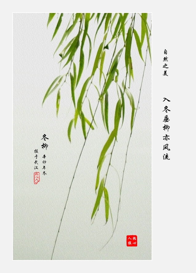 붬