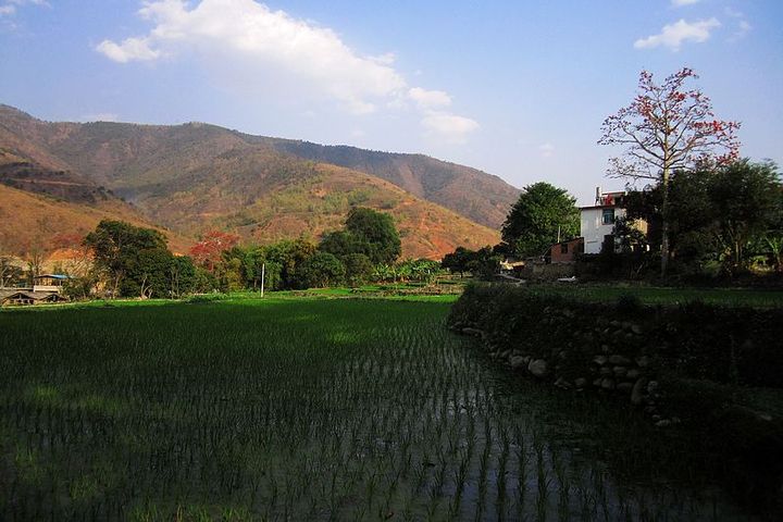 雲南新平風景圖片