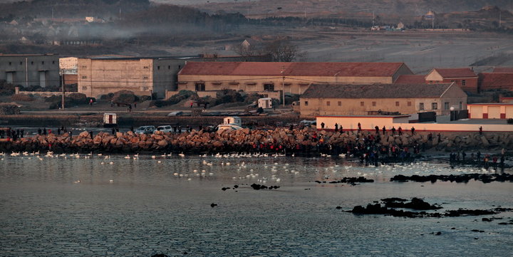 2012