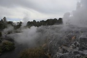 法卡雷瓦雷瓦地热保护区.新西兰罗托鲁阿