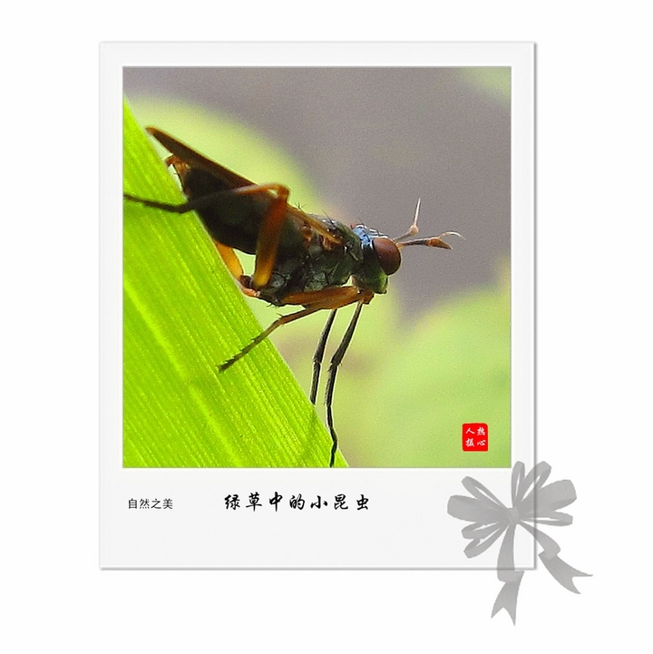̲еС