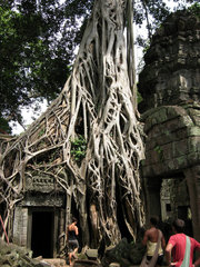 【塔普伦寺，树与塔的窒息拥抱】  柬埔寨之旅（4）