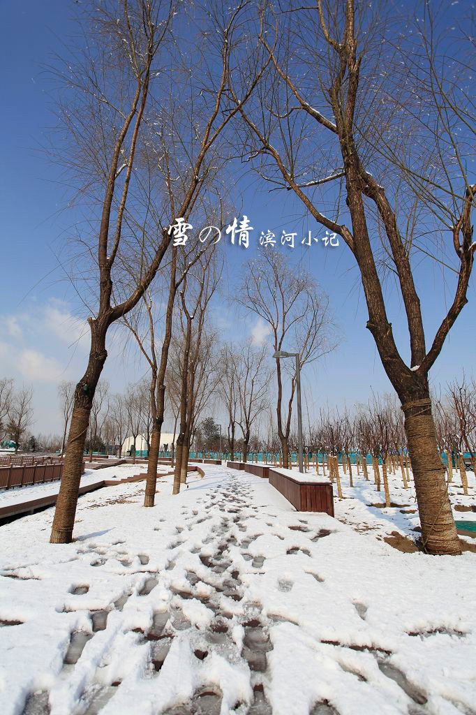 ѩ