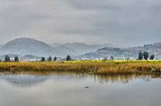 青山黄海