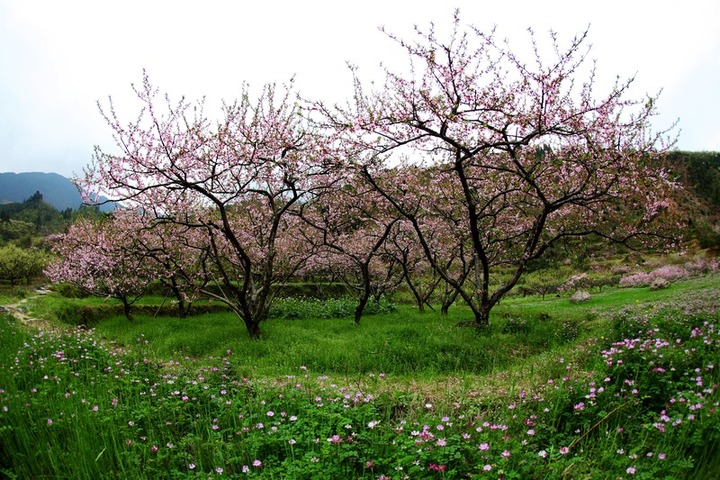 2012ξŷ