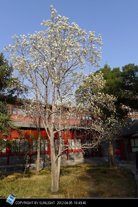  2012.4.5
