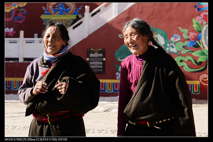 藏区人文动态