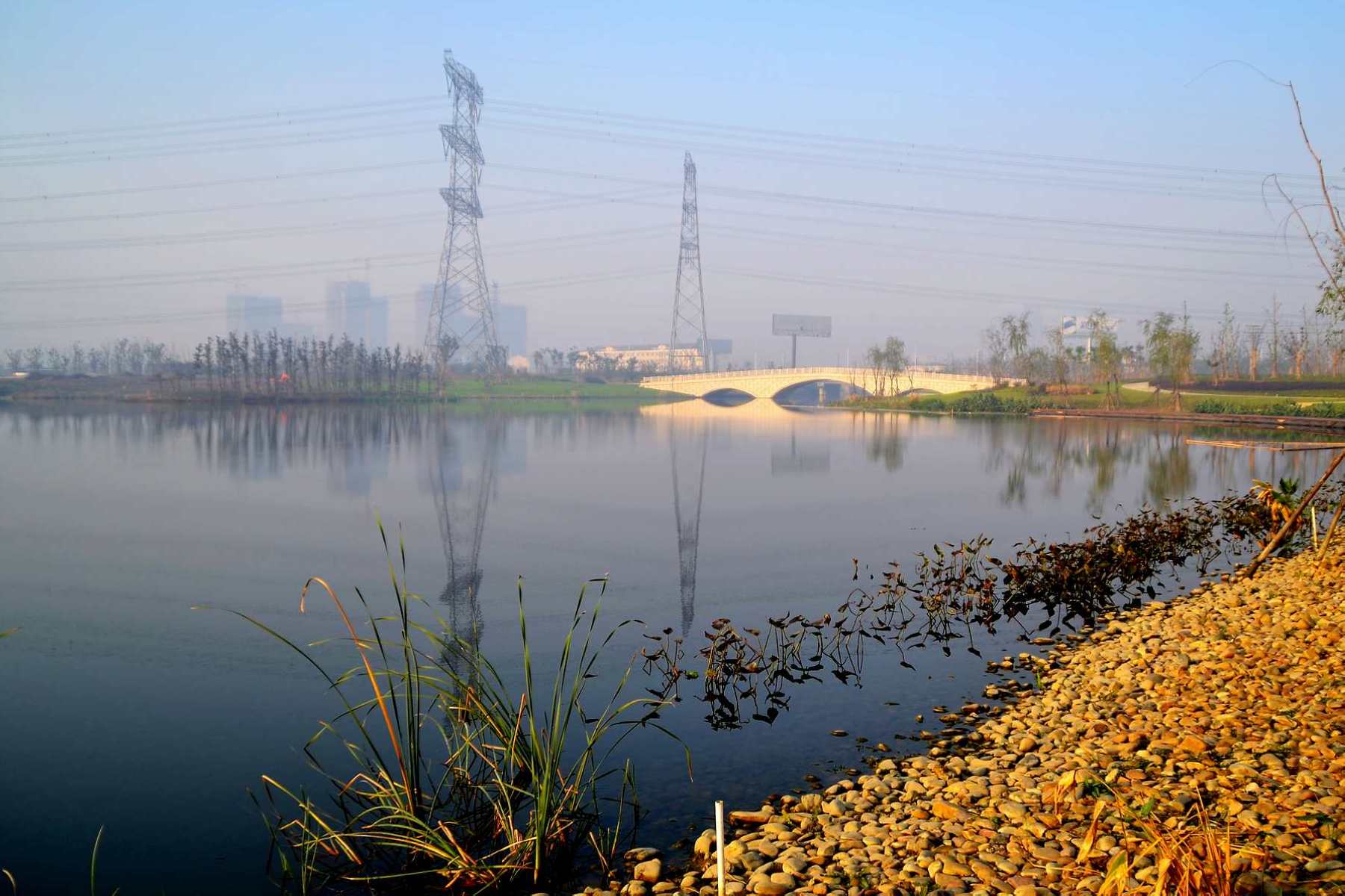 九里河湿地公园图片