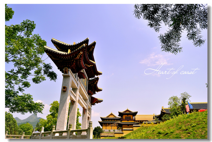 上林金莲湖莲音寺事件图片