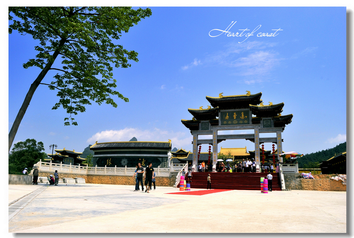 上林金莲湖莲音寺事件图片