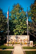 Broomall rotary field