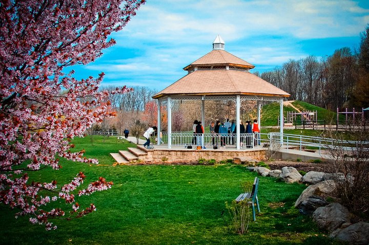 Broomall rotary field