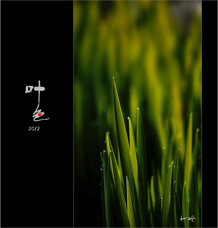 Ҷɫ2012