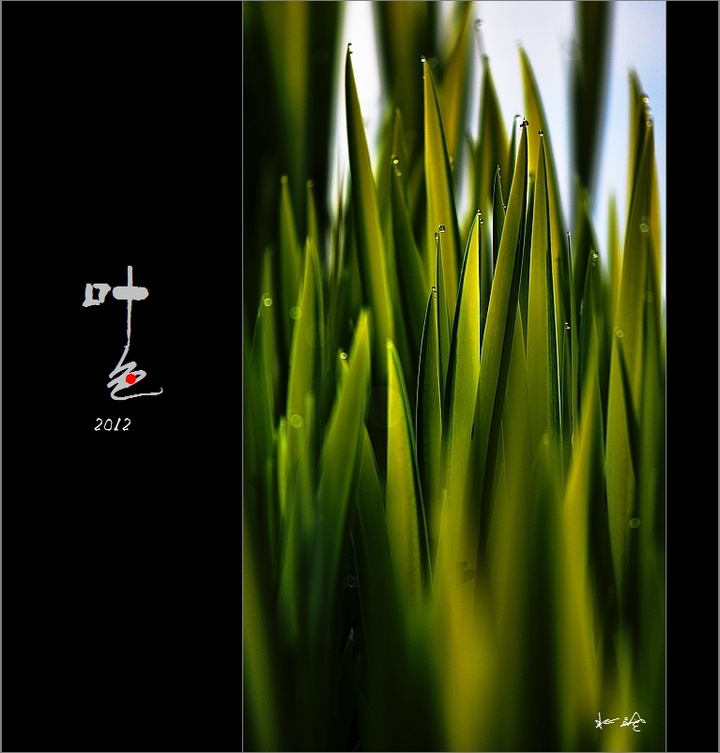 Ҷɫ2012