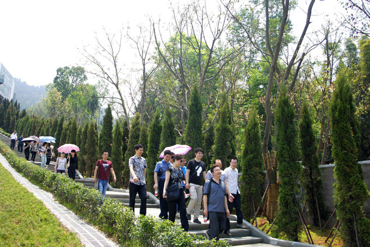 四川通江县首富图片