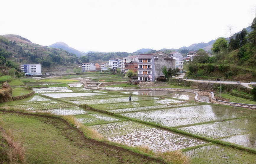 【攝影家天堂—―茗岙攝影圖片】浙江永嘉碧蓮茗岙鄉風光攝影_老史