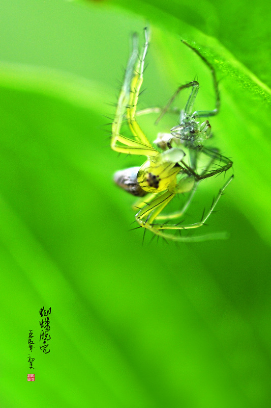 磨52֩ѿ