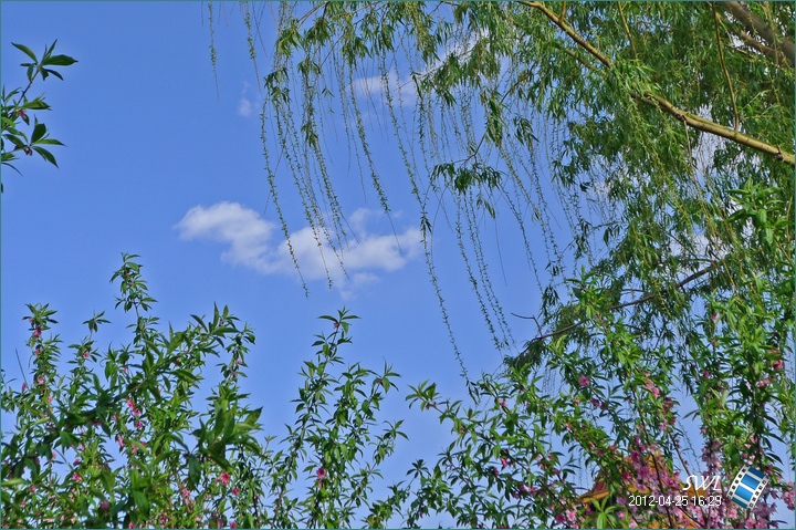 ¥D 2012.4.25