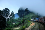 12斯里兰卡-感受高山火车的乐趣