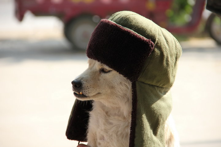 ʿ