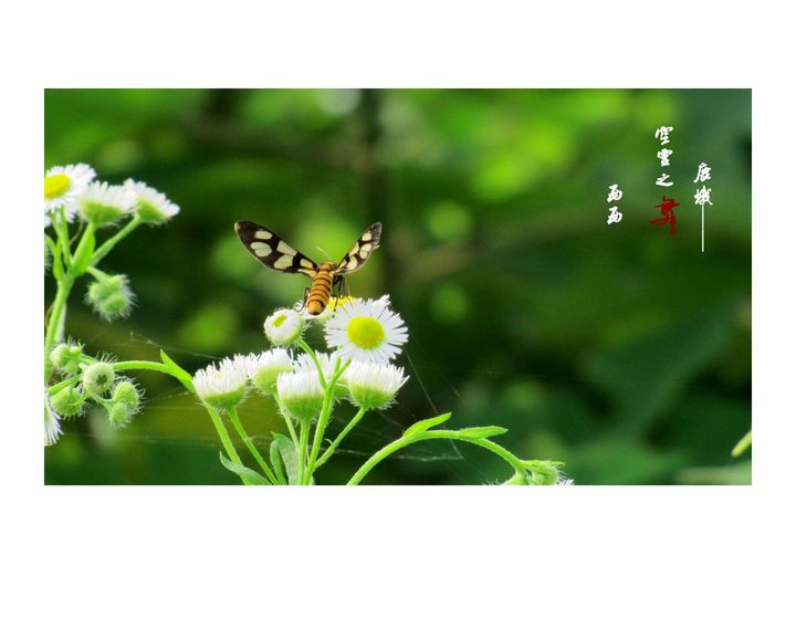 ¹ꡪ֮