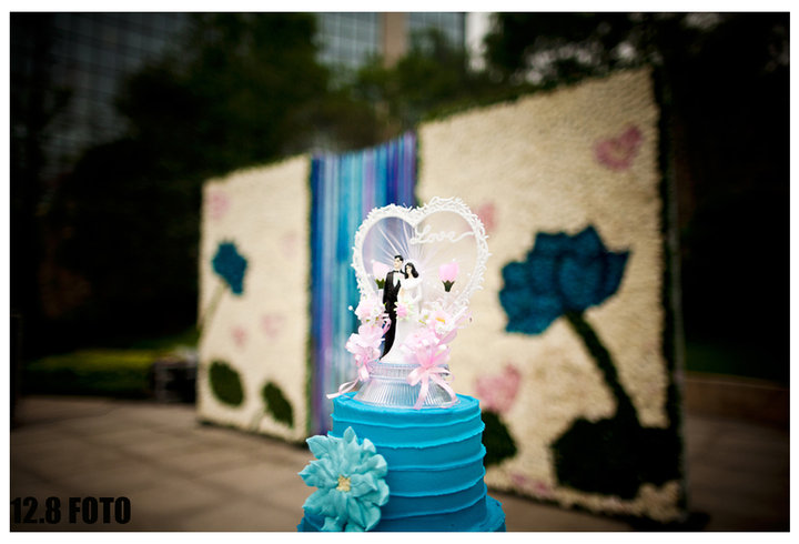 Nick & Cynthias wedding