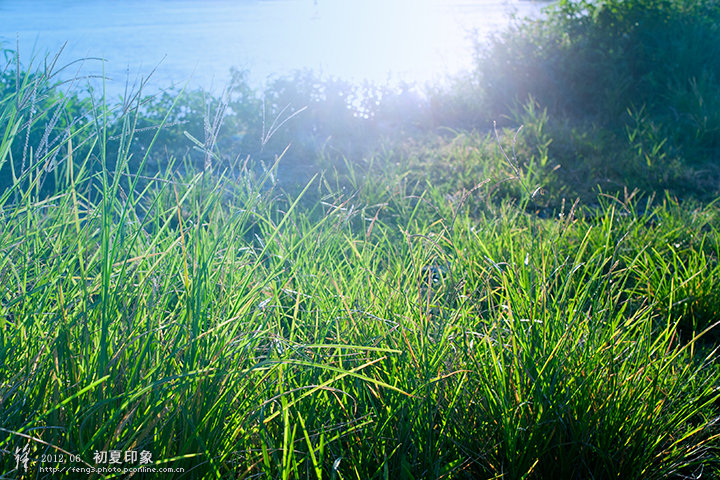 寧靜的夏天