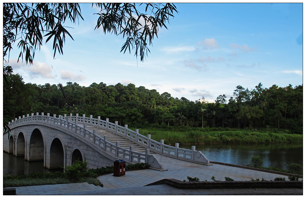 【金山植物公園攝影圖片】陽江老家生態攝影_太平洋電腦網攝影部落