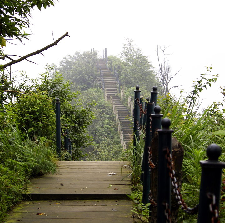 茶山竹海多大图片