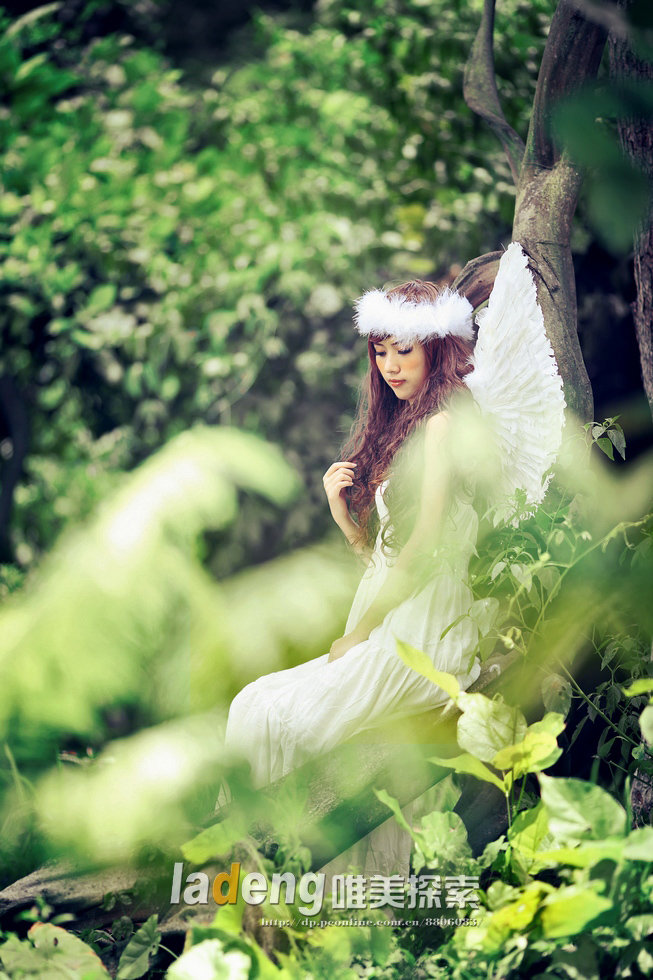 Jungle angel