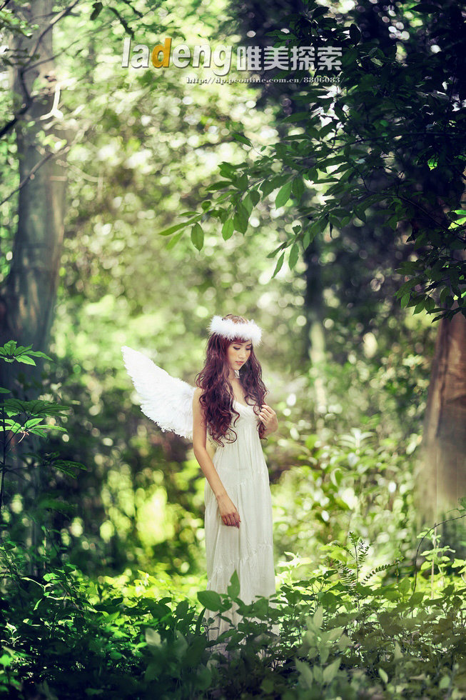 Jungle angel