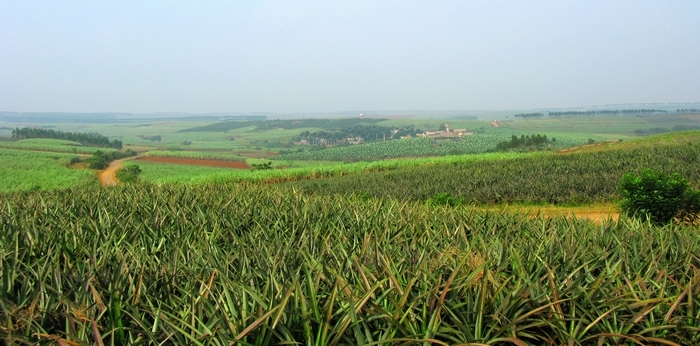 տ֮1